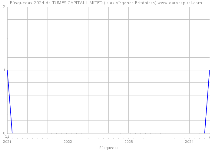 Búsquedas 2024 de TUMES CAPITAL LIMITED (Islas Vírgenes Británicas) 