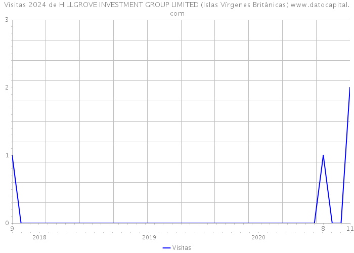 Visitas 2024 de HILLGROVE INVESTMENT GROUP LIMITED (Islas Vírgenes Británicas) 