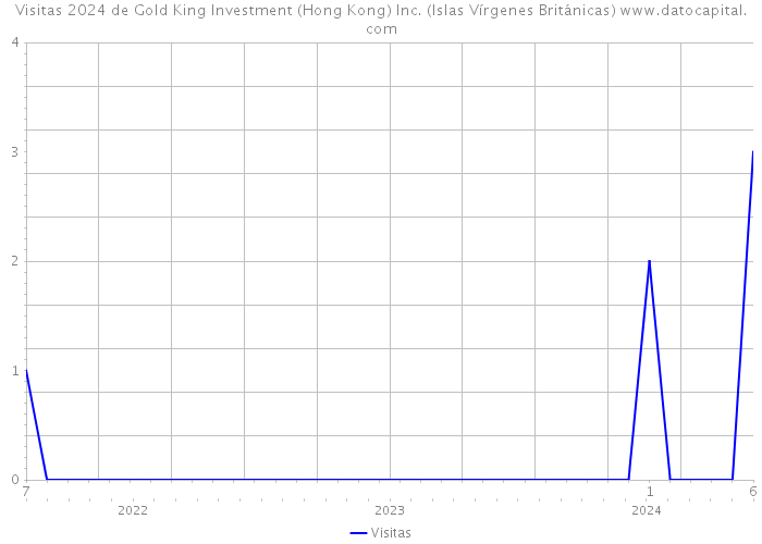 Visitas 2024 de Gold King Investment (Hong Kong) Inc. (Islas Vírgenes Británicas) 