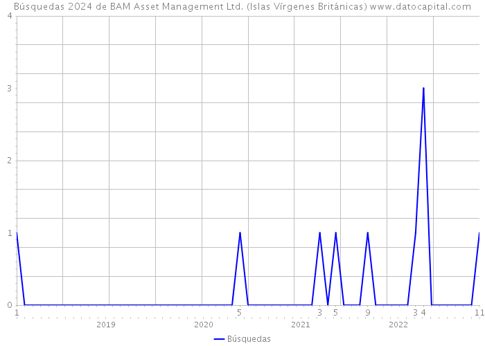 Búsquedas 2024 de BAM Asset Management Ltd. (Islas Vírgenes Británicas) 