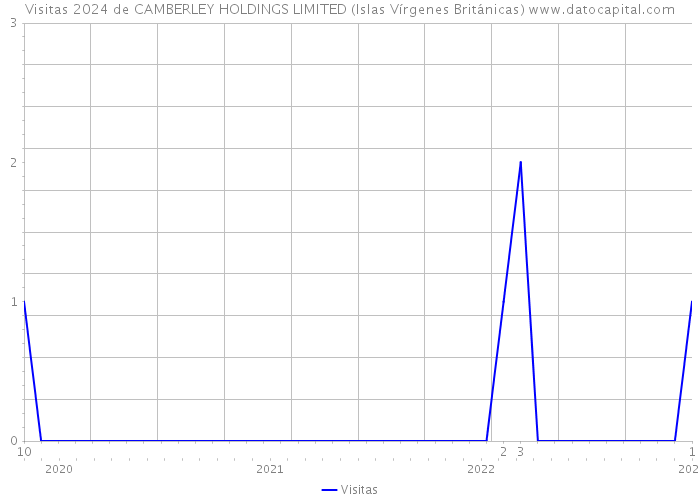 Visitas 2024 de CAMBERLEY HOLDINGS LIMITED (Islas Vírgenes Británicas) 