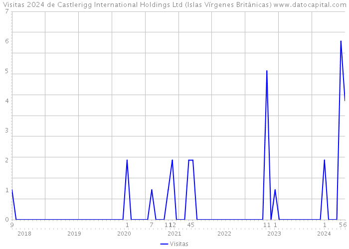 Visitas 2024 de Castlerigg International Holdings Ltd (Islas Vírgenes Británicas) 