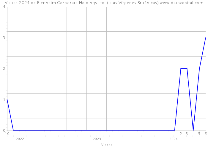 Visitas 2024 de Blenheim Corporate Holdings Ltd. (Islas Vírgenes Británicas) 