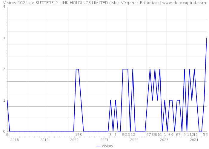 Visitas 2024 de BUTTERFLY LINK HOLDINGS LIMITED (Islas Vírgenes Británicas) 