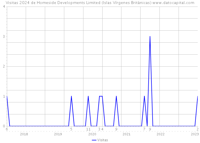 Visitas 2024 de Homeside Developments Limited (Islas Vírgenes Británicas) 
