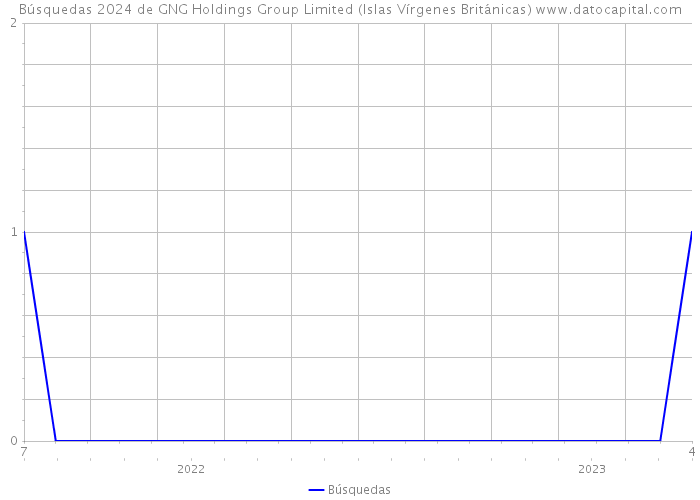 Búsquedas 2024 de GNG Holdings Group Limited (Islas Vírgenes Británicas) 