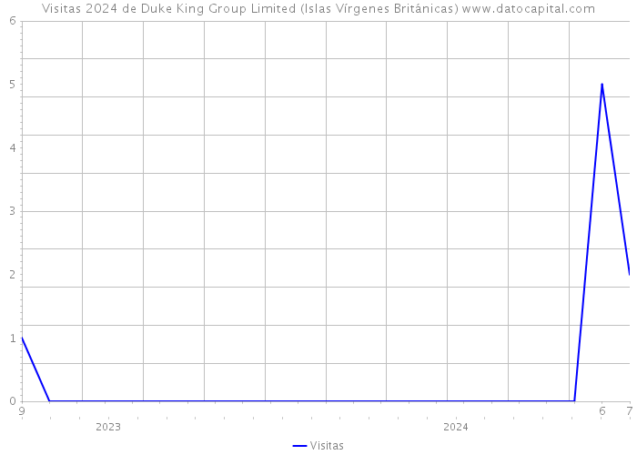 Visitas 2024 de Duke King Group Limited (Islas Vírgenes Británicas) 