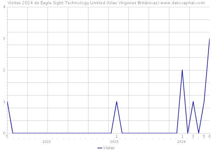 Visitas 2024 de Eagle Sight Technology Limited (Islas Vírgenes Británicas) 