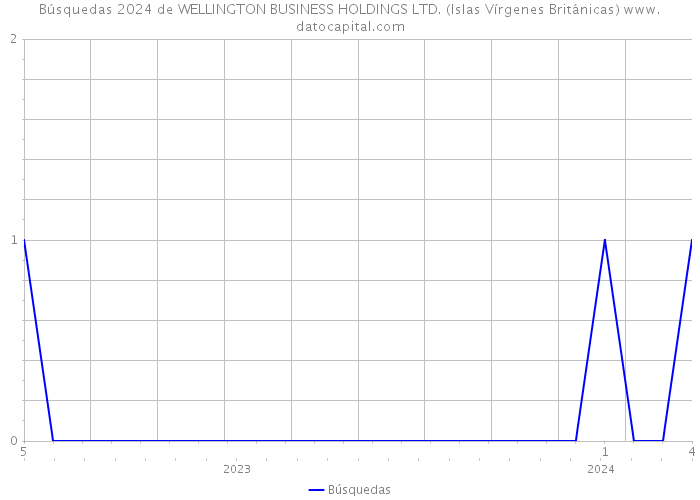Búsquedas 2024 de WELLINGTON BUSINESS HOLDINGS LTD. (Islas Vírgenes Británicas) 