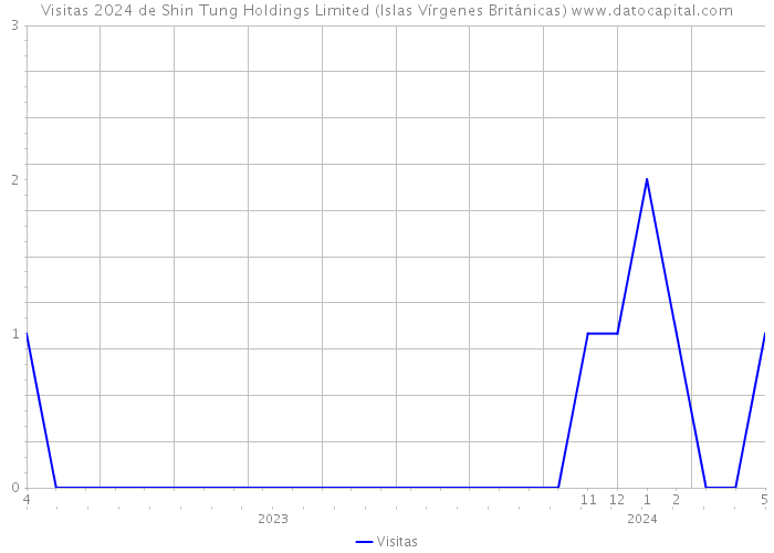 Visitas 2024 de Shin Tung Holdings Limited (Islas Vírgenes Británicas) 