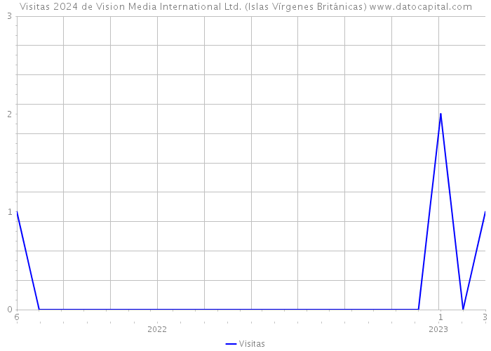 Visitas 2024 de Vision Media International Ltd. (Islas Vírgenes Británicas) 