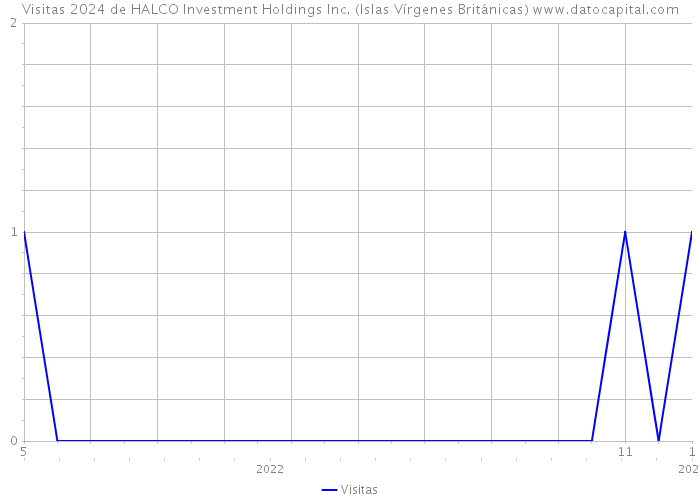 Visitas 2024 de HALCO Investment Holdings Inc. (Islas Vírgenes Británicas) 