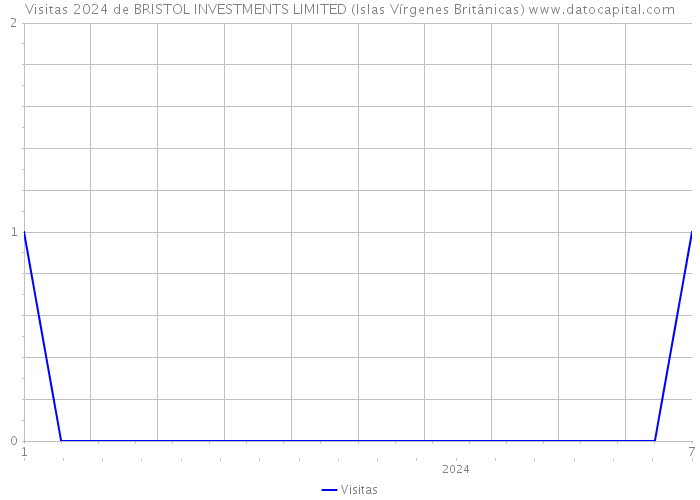 Visitas 2024 de BRISTOL INVESTMENTS LIMITED (Islas Vírgenes Británicas) 