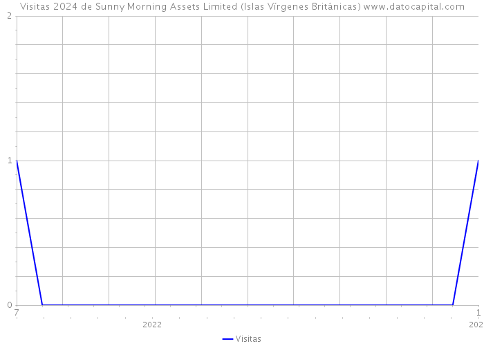 Visitas 2024 de Sunny Morning Assets Limited (Islas Vírgenes Británicas) 