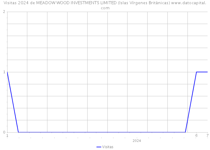 Visitas 2024 de MEADOW WOOD INVESTMENTS LIMITED (Islas Vírgenes Británicas) 