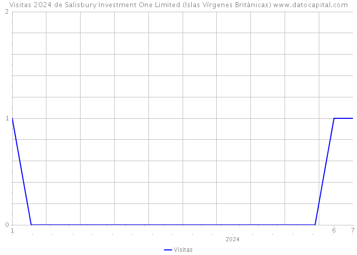 Visitas 2024 de Salisbury Investment One Limited (Islas Vírgenes Británicas) 