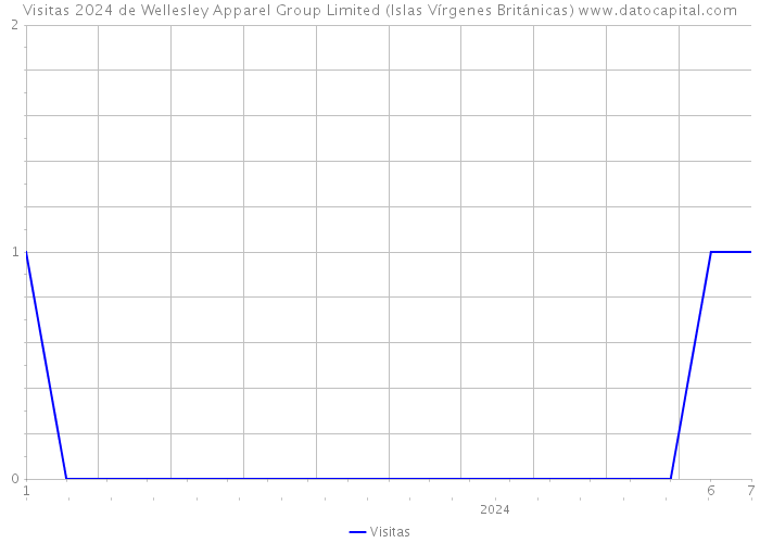 Visitas 2024 de Wellesley Apparel Group Limited (Islas Vírgenes Británicas) 