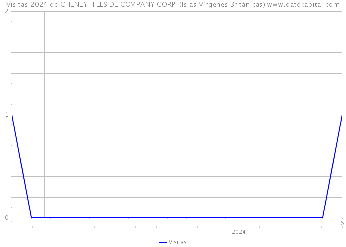 Visitas 2024 de CHENEY HILLSIDE COMPANY CORP. (Islas Vírgenes Británicas) 