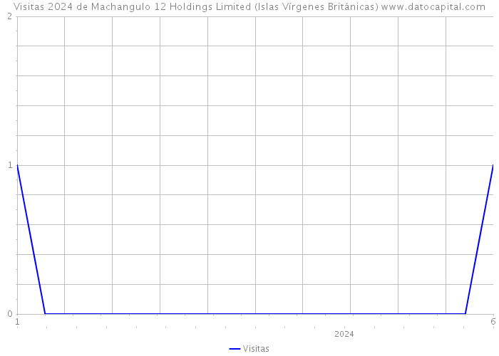 Visitas 2024 de Machangulo 12 Holdings Limited (Islas Vírgenes Británicas) 