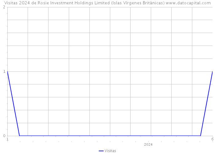 Visitas 2024 de Rosie Investment Holdings Limited (Islas Vírgenes Británicas) 