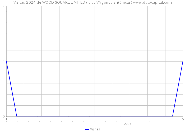 Visitas 2024 de WOOD SQUARE LIMITED (Islas Vírgenes Británicas) 