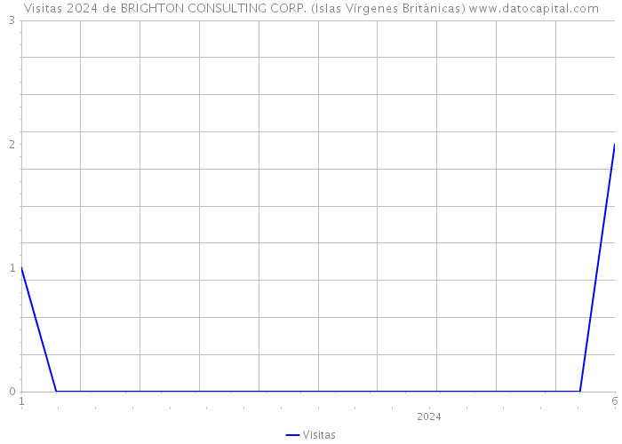 Visitas 2024 de BRIGHTON CONSULTING CORP. (Islas Vírgenes Británicas) 