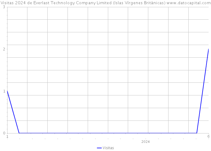 Visitas 2024 de Everlast Technology Company Limited (Islas Vírgenes Británicas) 