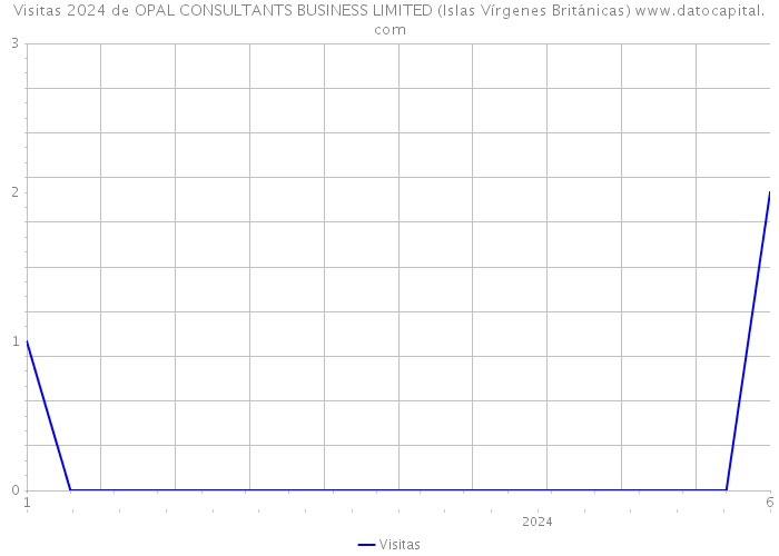 Visitas 2024 de OPAL CONSULTANTS BUSINESS LIMITED (Islas Vírgenes Británicas) 