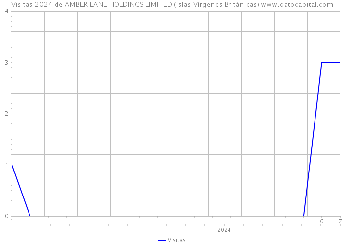 Visitas 2024 de AMBER LANE HOLDINGS LIMITED (Islas Vírgenes Británicas) 