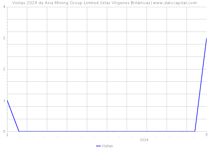 Visitas 2024 de Asia Mining Group Limited (Islas Vírgenes Británicas) 