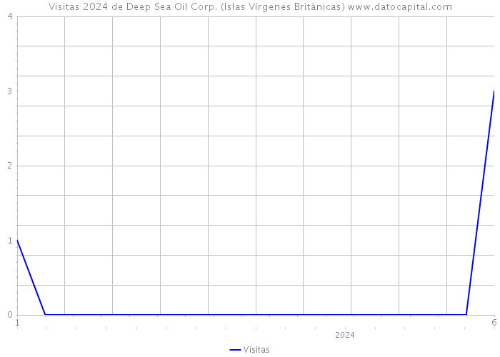 Visitas 2024 de Deep Sea Oil Corp. (Islas Vírgenes Británicas) 