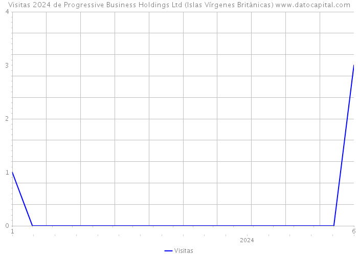 Visitas 2024 de Progressive Business Holdings Ltd (Islas Vírgenes Británicas) 