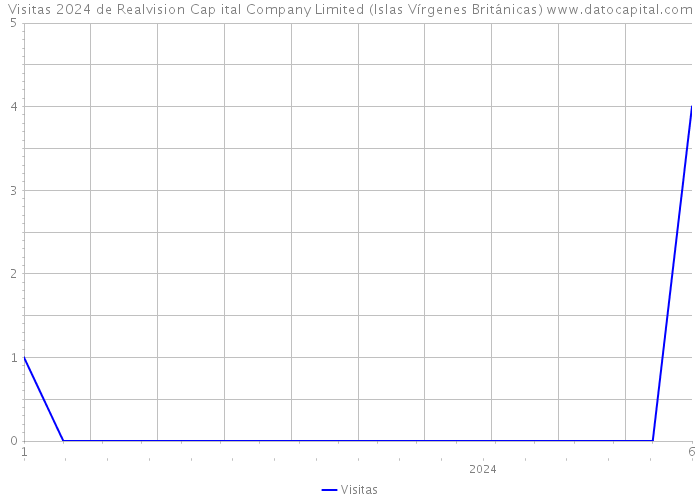 Visitas 2024 de Realvision Cap ital Company Limited (Islas Vírgenes Británicas) 