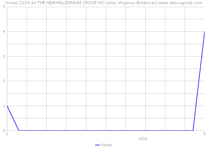 Visitas 2024 de THE NEW MILLENNIUM GROUP INC (Islas Vírgenes Británicas) 