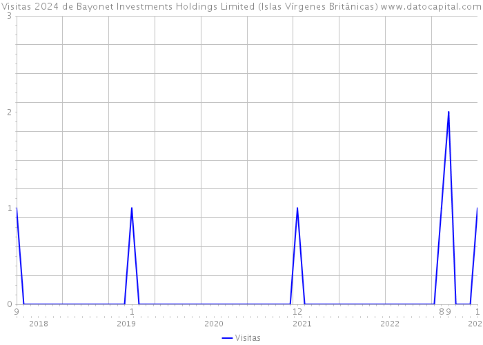 Visitas 2024 de Bayonet Investments Holdings Limited (Islas Vírgenes Británicas) 