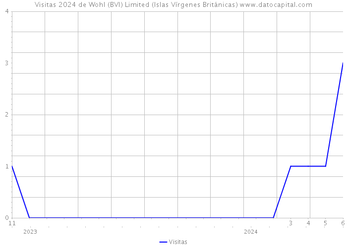 Visitas 2024 de Wohl (BVI) Limited (Islas Vírgenes Británicas) 