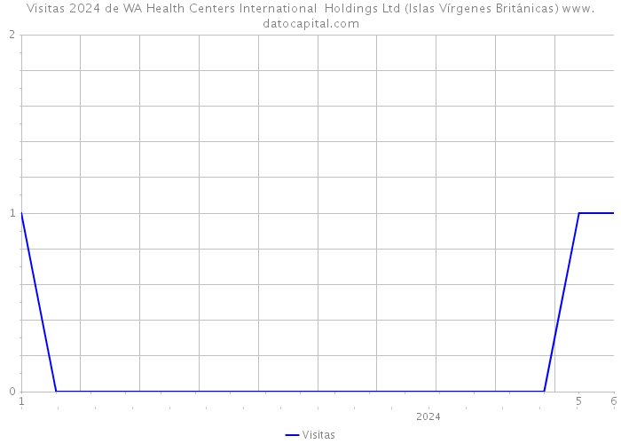 Visitas 2024 de WA Health Centers International Holdings Ltd (Islas Vírgenes Británicas) 