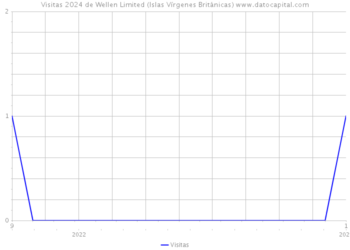 Visitas 2024 de Wellen Limited (Islas Vírgenes Británicas) 