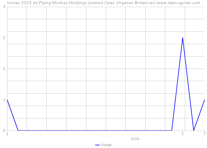 Visitas 2024 de Flying Monkey Holdings Limited (Islas Vírgenes Británicas) 