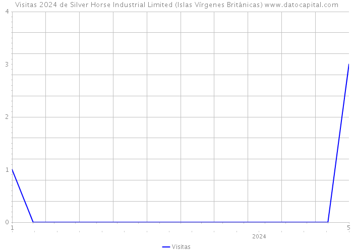 Visitas 2024 de Silver Horse Industrial Limited (Islas Vírgenes Británicas) 