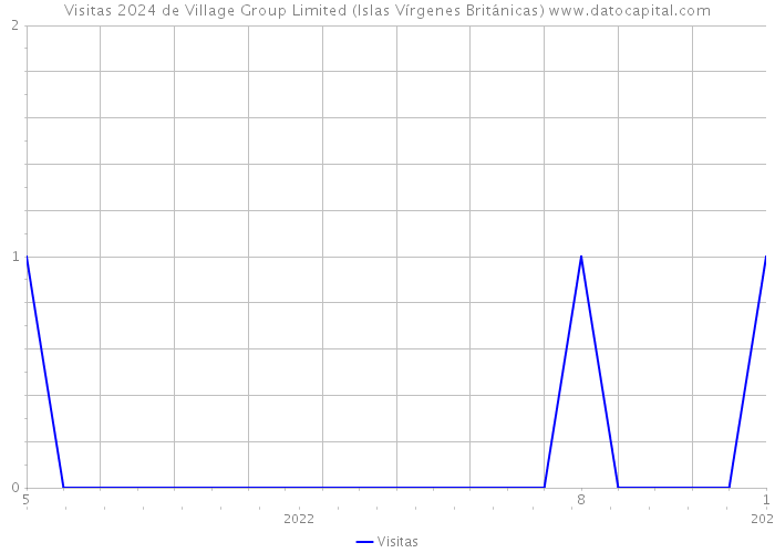 Visitas 2024 de Village Group Limited (Islas Vírgenes Británicas) 