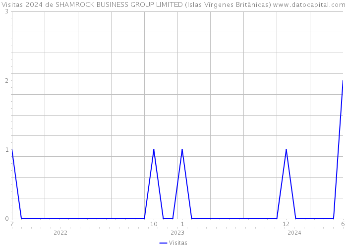 Visitas 2024 de SHAMROCK BUSINESS GROUP LIMITED (Islas Vírgenes Británicas) 