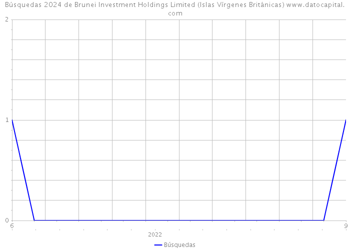 Búsquedas 2024 de Brunei Investment Holdings Limited (Islas Vírgenes Británicas) 