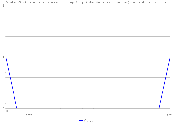 Visitas 2024 de Aurora Express Holdings Corp. (Islas Vírgenes Británicas) 