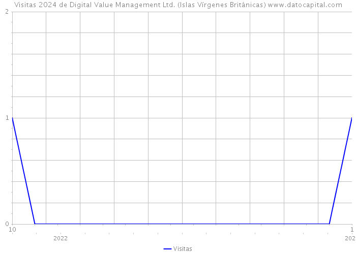 Visitas 2024 de Digital Value Management Ltd. (Islas Vírgenes Británicas) 