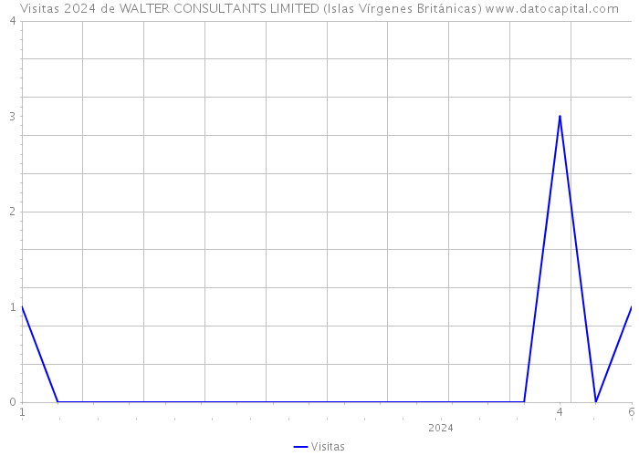 Visitas 2024 de WALTER CONSULTANTS LIMITED (Islas Vírgenes Británicas) 