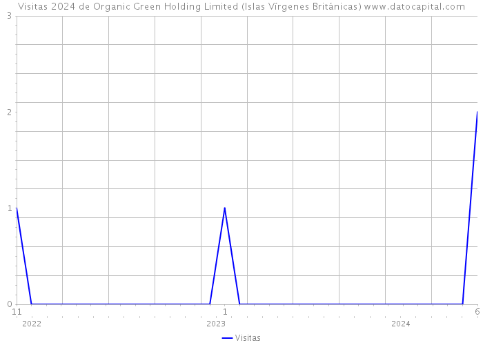 Visitas 2024 de Organic Green Holding Limited (Islas Vírgenes Británicas) 