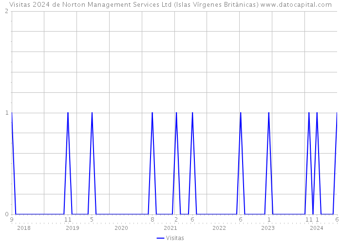 Visitas 2024 de Norton Management Services Ltd (Islas Vírgenes Británicas) 