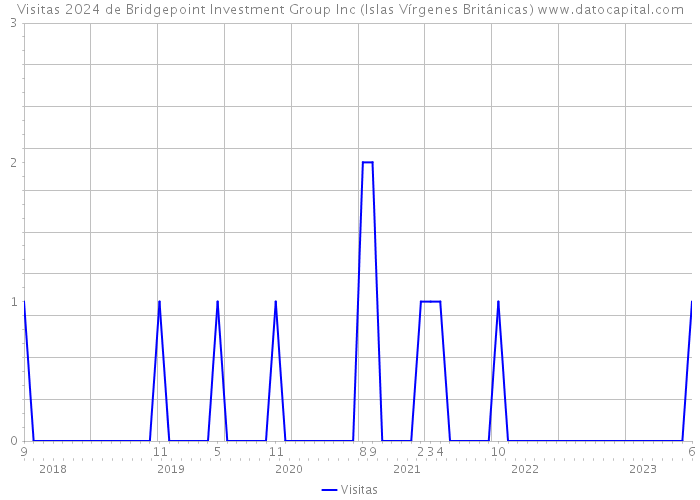 Visitas 2024 de Bridgepoint Investment Group Inc (Islas Vírgenes Británicas) 