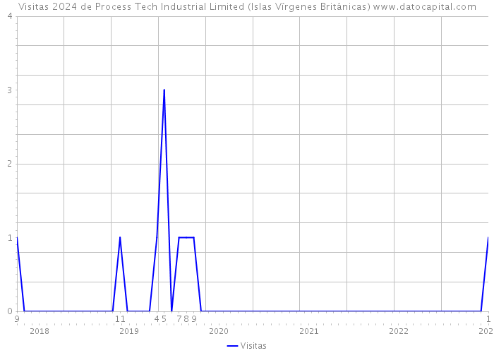 Visitas 2024 de Process Tech Industrial Limited (Islas Vírgenes Británicas) 
